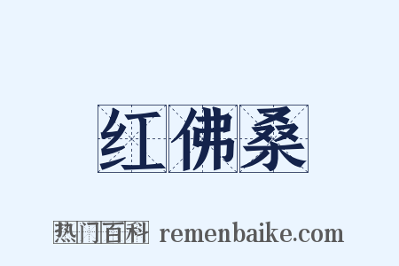 红佛桑是什么意思的图片